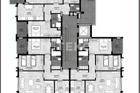 Пентхаус с 4 спальнями в Chau Lang, Вьетнам №14401 3