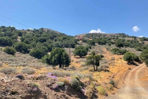 32687m² Land en Heraklion, Greece No. 55962 7