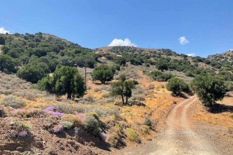 32687m² Land en Heraklion, Greece No. 55962 8