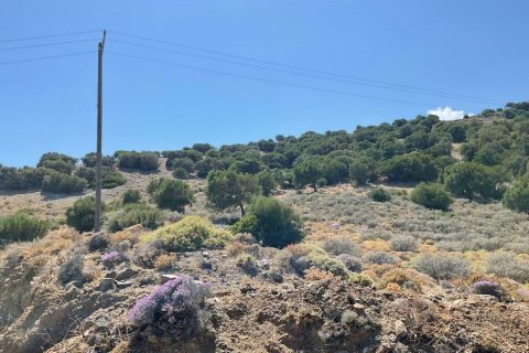 32687m² Land en Heraklion, Greece No. 55962 4
