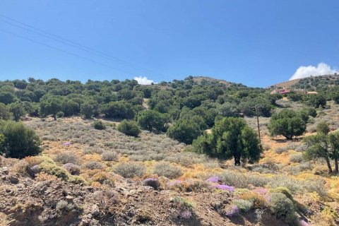 32687m² Land en Heraklion, Greece No. 55962 3