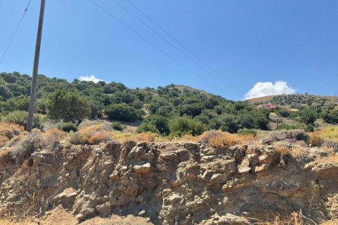 32687m² Land en Heraklion, Greece No. 55962 6