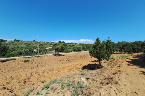 17439m² Land in Corfu, Greece No. 107628 26
