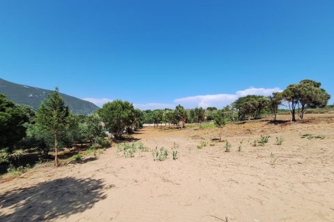 17439m² Land in Corfu, Greece No. 107628 10