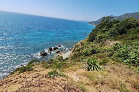 17439m² Land in Corfu, Greece No. 107628 5