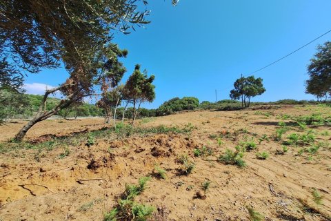 17439m² Land in Corfu, Greece No. 107628 30