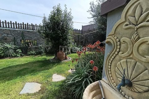 4 chambres Villa à Phi Dien, Vietnam No. 86479 7