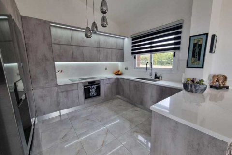 Вилла с 5 спальнями в Пейя, Кипр №84364 2