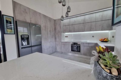 Вилла с 5 спальнями в Пейя, Кипр №84364 3