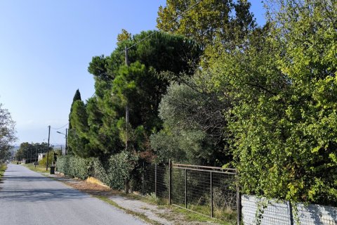 3 chambres House à Katerini, Greece No. 112916 13