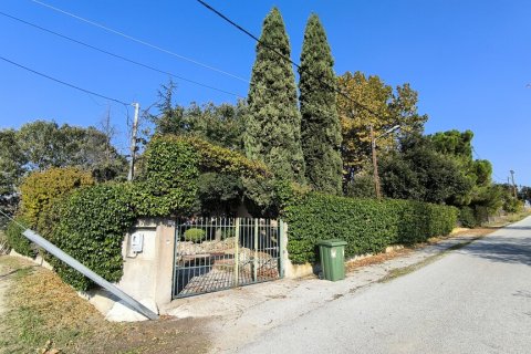 3 chambres House à Katerini, Greece No. 112916 12