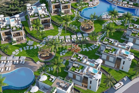 3 dormitorios Villa en Phu Ngai, Vietnam No. 20816 5