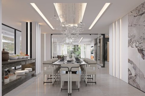 6 dormitorios Villa en Chau Lang, Vietnam No. 73001 29