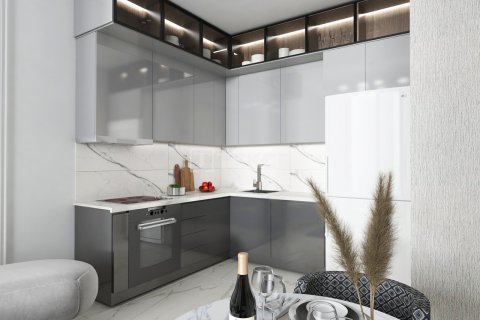 2 bedrooms Penthouse in Chau Lang, Vietnam No. 75228 29