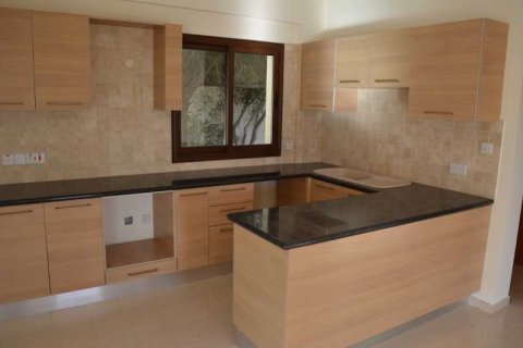 Вилла с 3 спальнями в Пейя, Кипр №84419 3