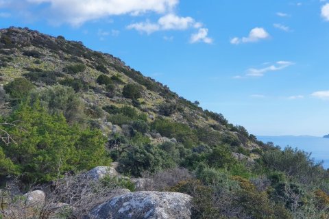 49121m² Land à Agios Nikolaos, Greece No. 56490 3