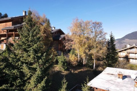 898m² Land in Savoie, France No. 99996 10