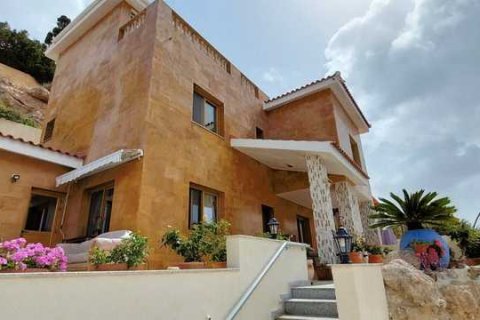 4 bedrooms House in Chloraka, Cyprus No. 43068 3