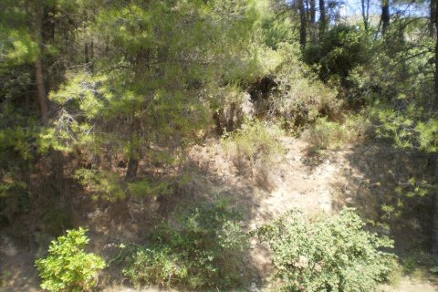 Дом с 2 спальнями в Халкидики, Греция №60298 18