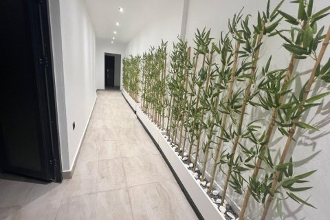 5 rooms Apartment in My Thanh, Vietnam No. 74015 17