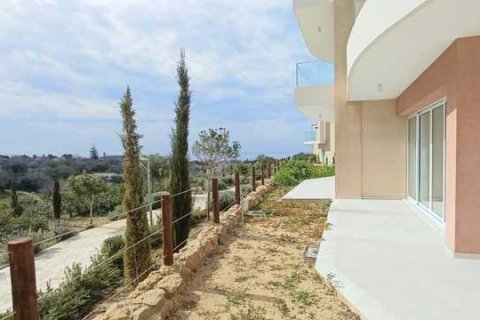 3 dormitorios Villa en Chloraka, Cyprus No. 79886 6