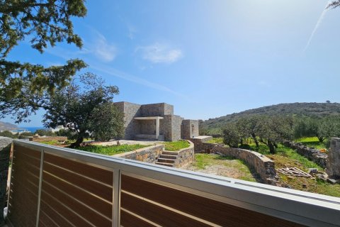 357m² Villa in Agios Nikolaos, Greece No. 108242 8