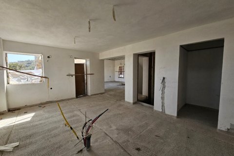 357m² Villa in Agios Nikolaos, Greece No. 108242 3