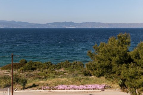 12 bedrooms House in Malesina, Greece No. 57279 18