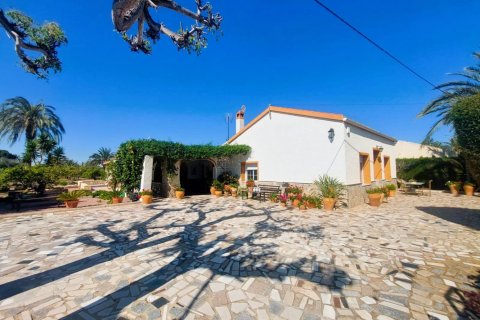 5 chambres House à La Marina, Spain No. 125520