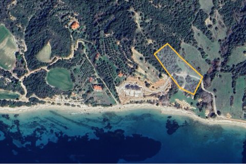 8000m² Land en Chalkidiki, Greece No. 109125 3