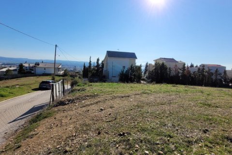 3000m² Land à Panorama, Greece No. 108300 4