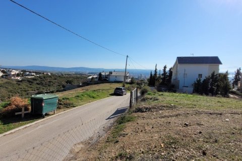 3000m² Land à Panorama, Greece No. 108300 6
