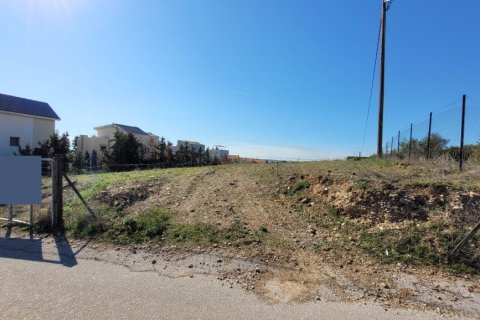 3000m² Land à Panorama, Greece No. 108300 7
