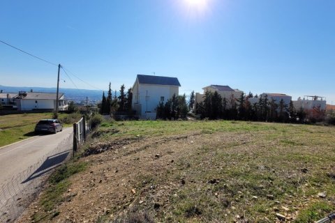 3000m² Land à Panorama, Greece No. 108300 8
