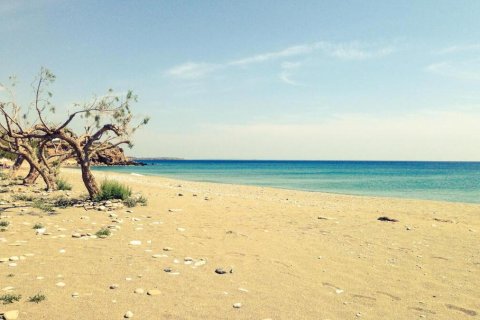 12 rooms Hotel in Lasithi, Greece No. 107964 17