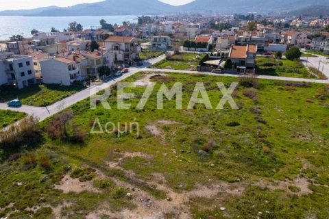 1867m² Land in Volos, Greece No. 81940 6