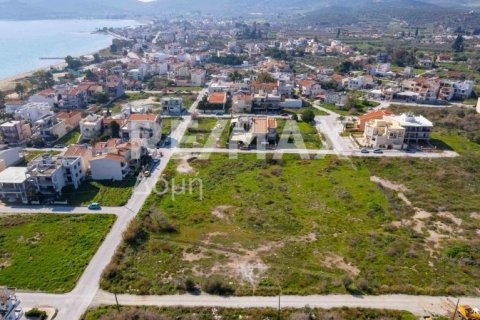 1867m² Land in Volos, Greece No. 81940 21