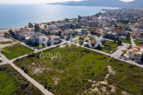 1867m² Land in Volos, Greece No. 81940 22