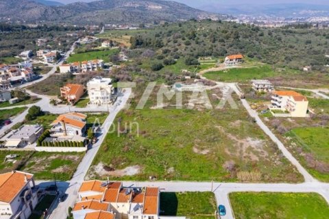 1867m² Land in Volos, Greece No. 81940 17