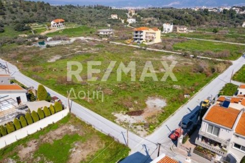 1867m² Land in Volos, Greece No. 81940 14