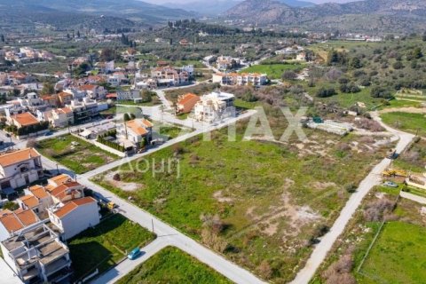 1867m² Land in Volos, Greece No. 81940 19