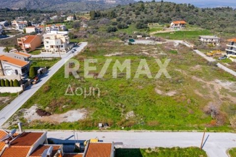 1867m² Land in Volos, Greece No. 81940 16