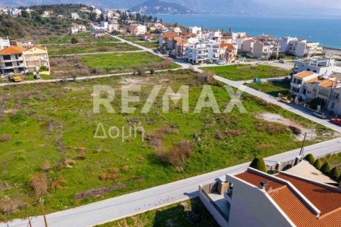 1867m² Land in Volos, Greece No. 81940 12