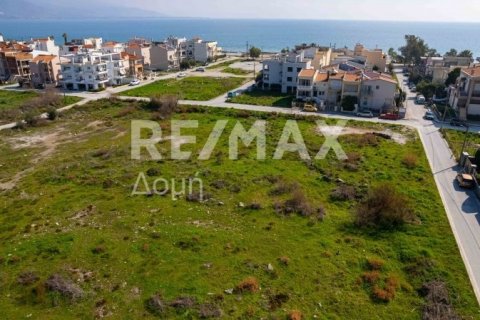1867m² Land in Volos, Greece No. 81940 10