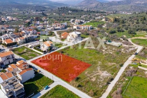 1867m² Land in Volos, Greece No. 81940 20