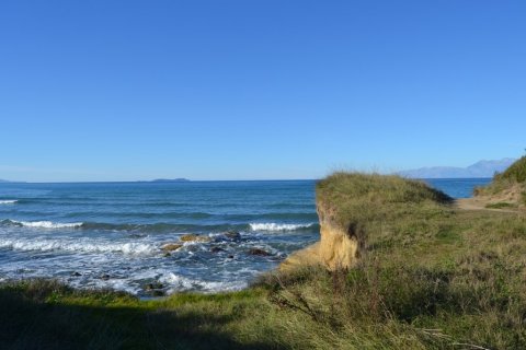 9000m² Land in Corfu, Greece No. 59985 4