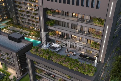 1 bedroom Apartment in Kien Thuy, Vietnam No. 12052 3