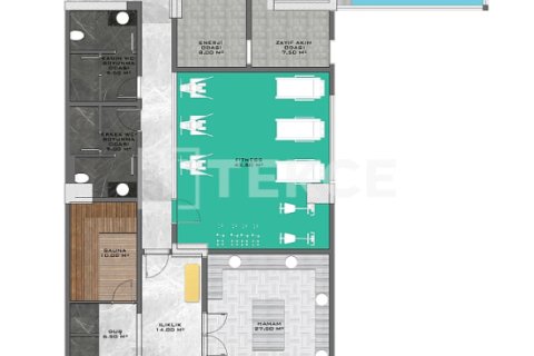 1 bedroom Apartment in Chau Lang, Vietnam No. 88024 29