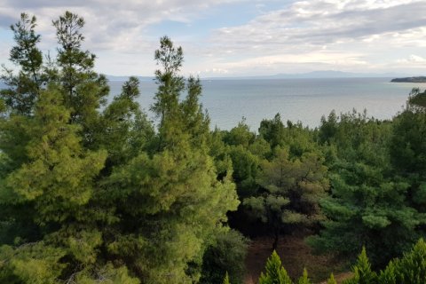 24 rooms Villa in Chalkidiki, Greece No. 60690 9