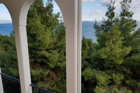 24 rooms Villa in Chalkidiki, Greece No. 60690 3